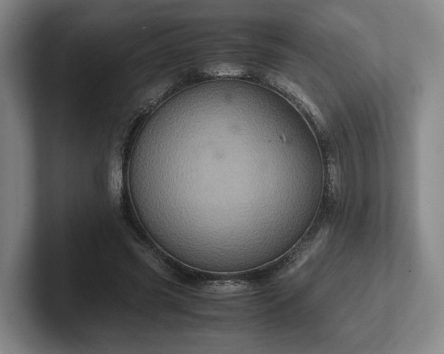 X0000102520541200808151535