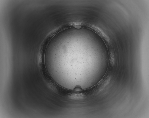 X0000102520543200808151535