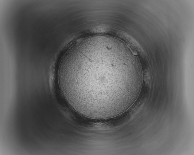 X0000102520544200808151535