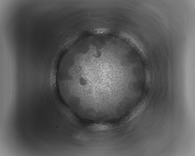 X0000102520545200808151535