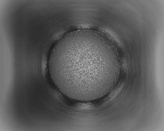 X0000102520548200808151535