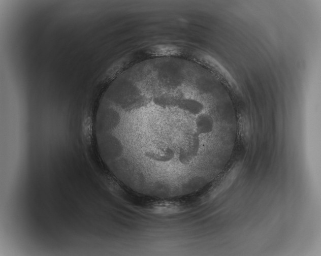 X0000102520549200808151535