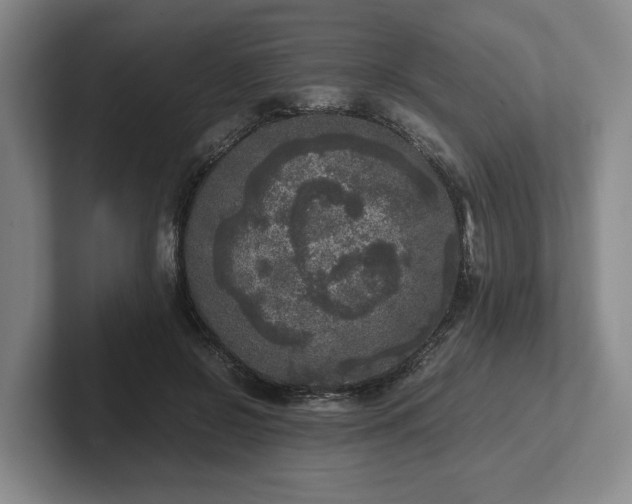 X0000102520550200808151535