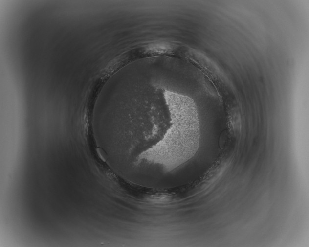 X0000102520551200808151535