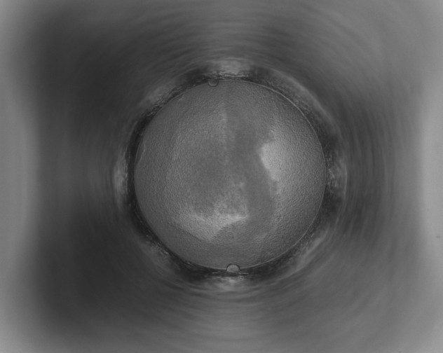 X0000102520552200808151535