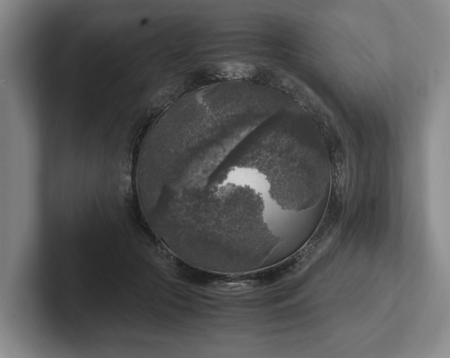 X0000102520553200808151535