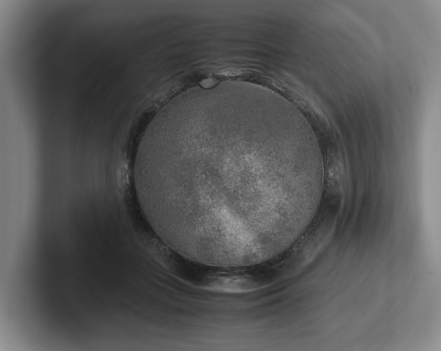 X0000102520555200808151535