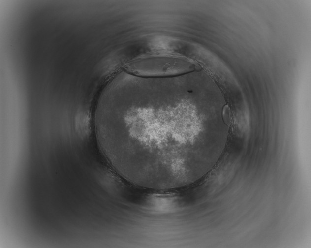 X0000102520556200808151535