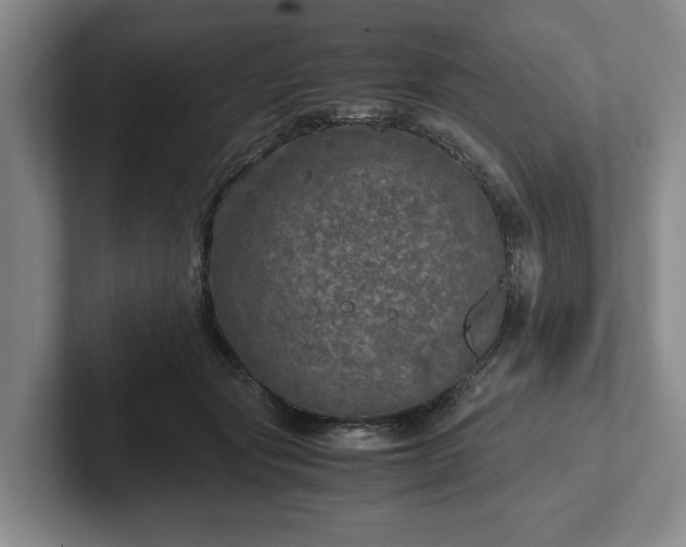 X0000102520557200808151535