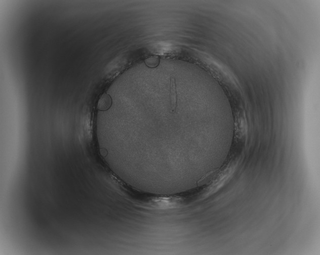 X0000102520558200808151535