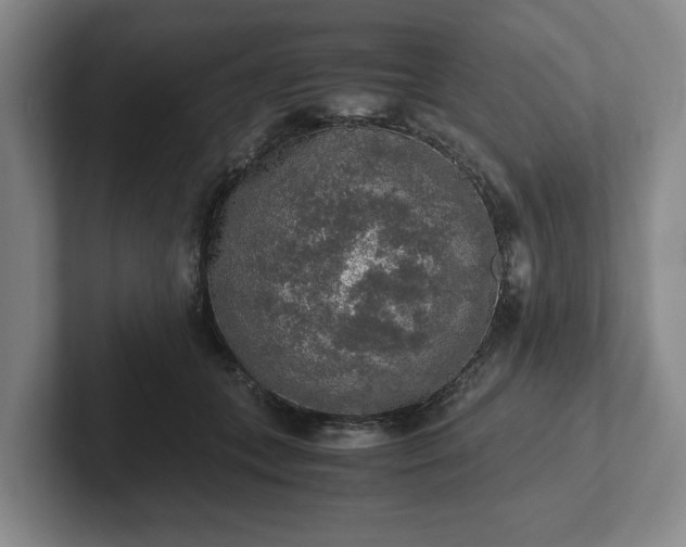 X0000102520559200808151535