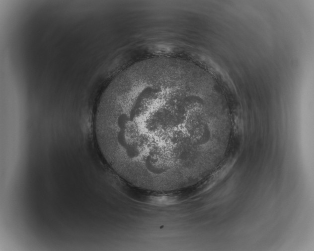 X0000102520561200808151535