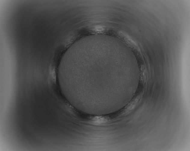 X0000102520562200808151535