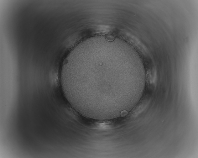 X0000102520564200808151535