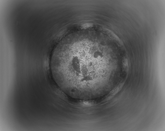 X0000102520565200808151535