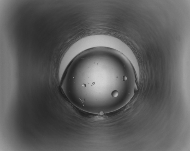 X0000102520566200808151535