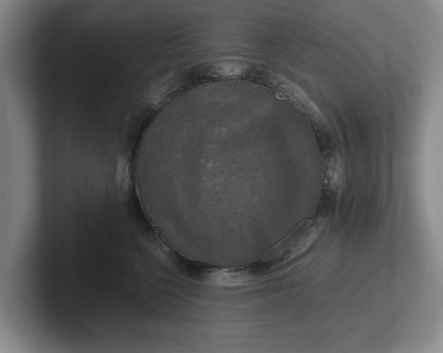 X0000102520568200808151536