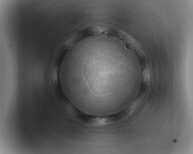 X0000102520570200808151536