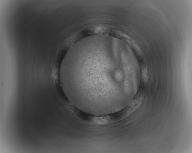 X0000102520571200808151536