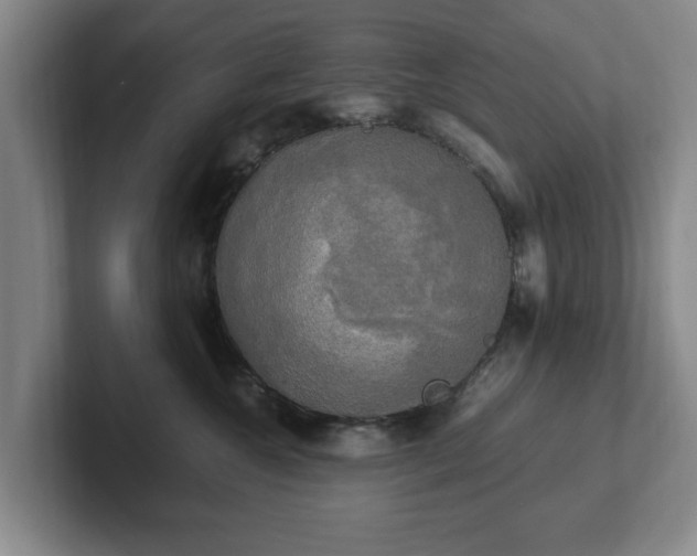 X0000102520572200808151536