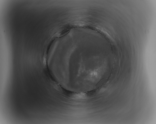 X0000102520576200808151536