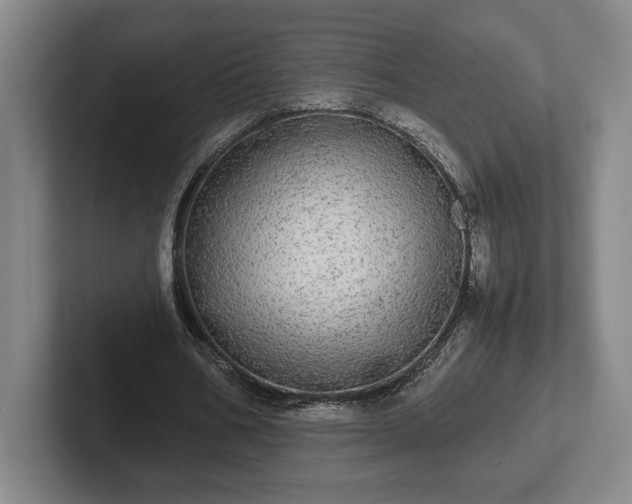 X0000102520578200808151535