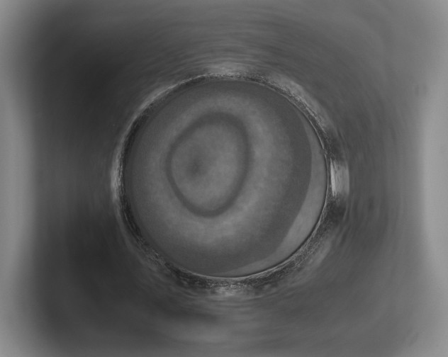 X0000102520579200808151535