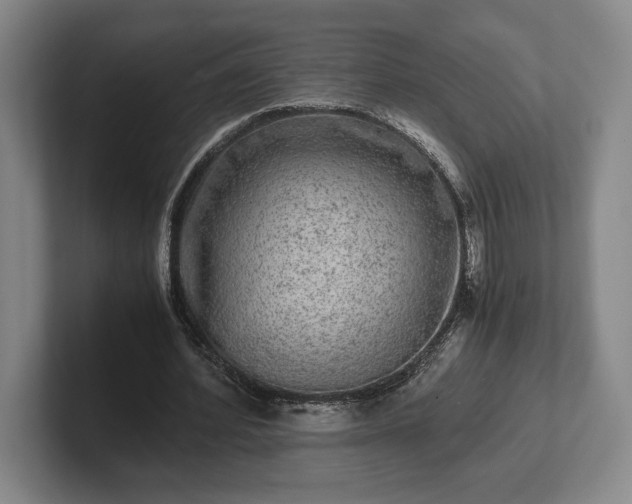 X0000102520580200808151535