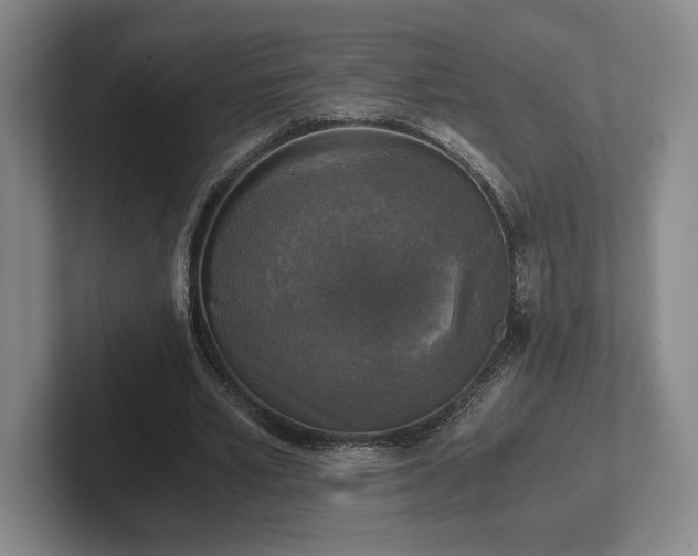 X0000102520581200808151535