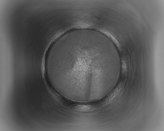 X0000102520582200808151535