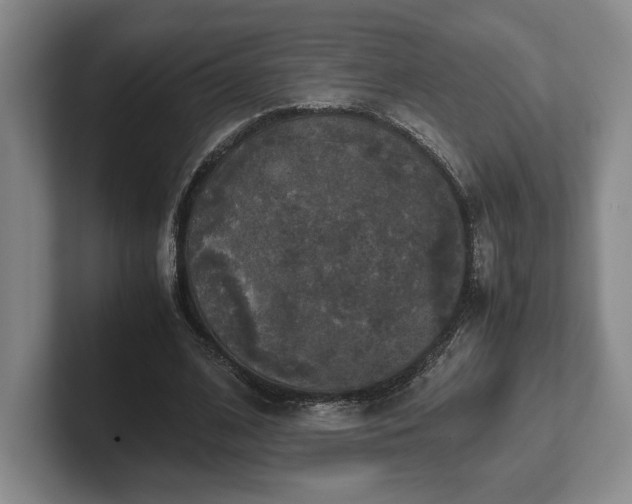 X0000102520584200808151535