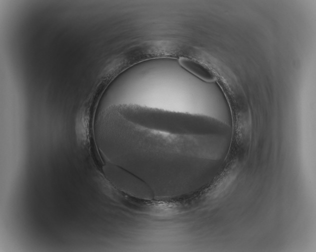 X0000102520585200808151535