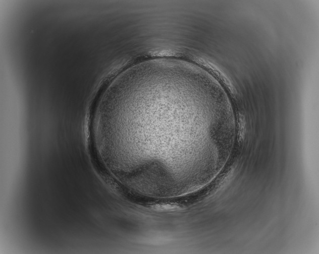 X0000102520586200808151535