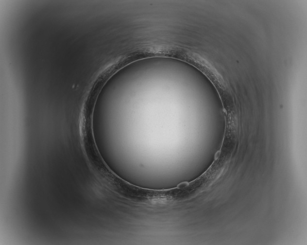 X0000102520587200808151535