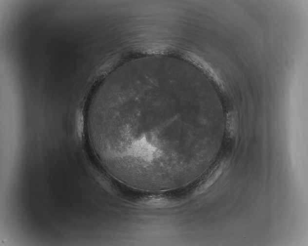 X0000102520589200808151535