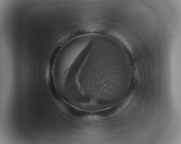 X0000102520590200808151535