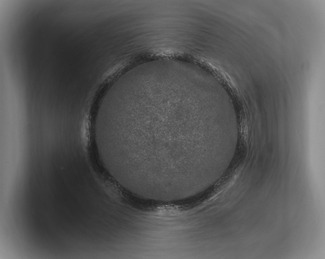 X0000102520591200808151535