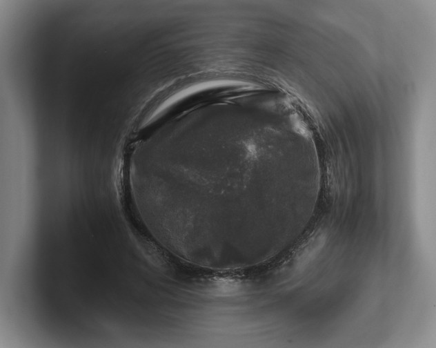 X0000102520592200808151535