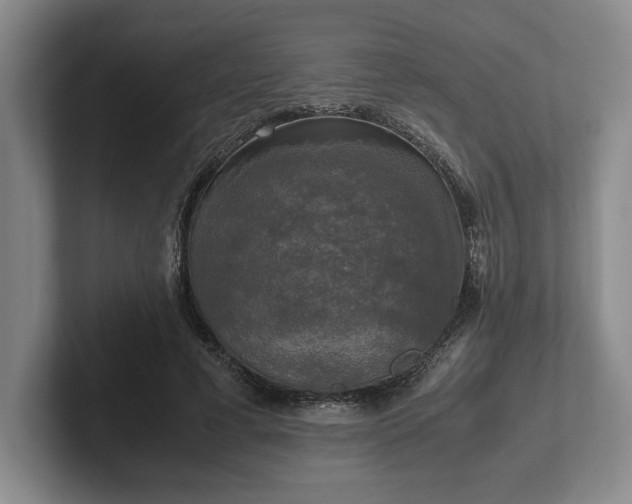 X0000102520593200808151535