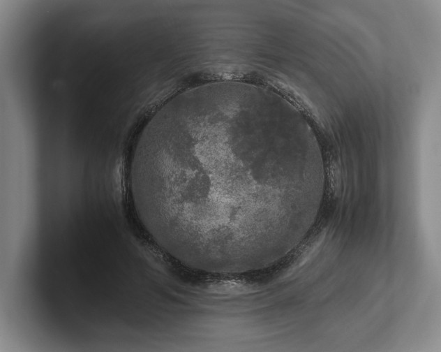 X0000102520594200808151535