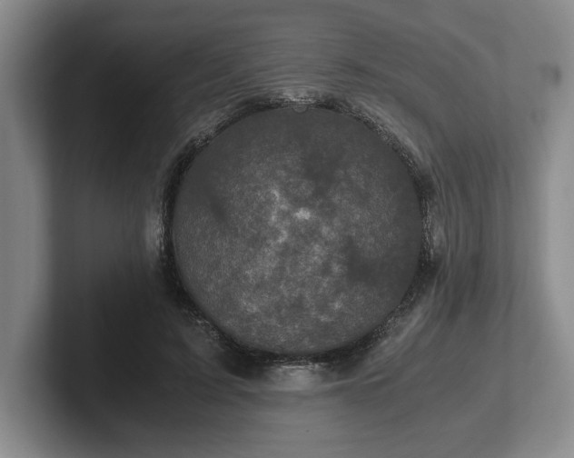 X0000102520595200808151535