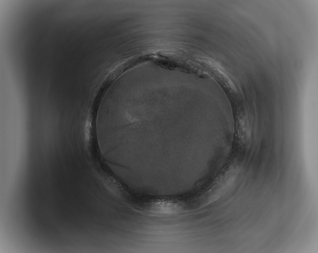 X0000102520596200808151535