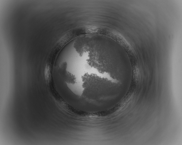 X0000102520598200808151535