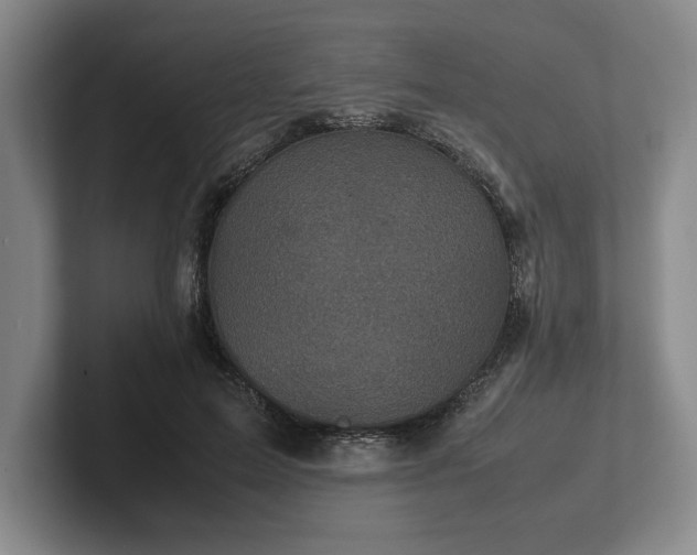 X0000102520599200808151535