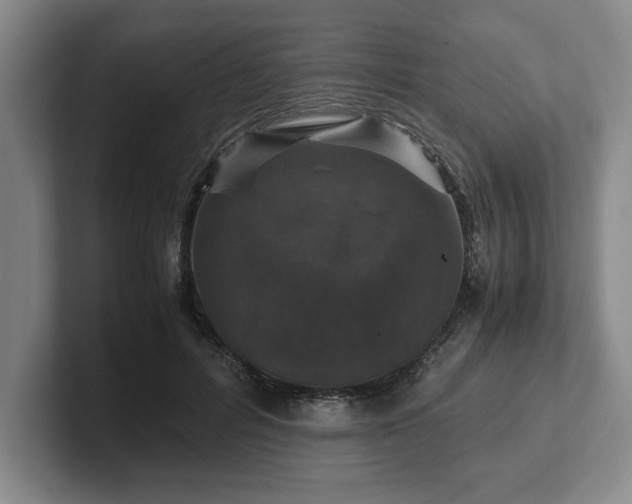 X0000102520600200808151535