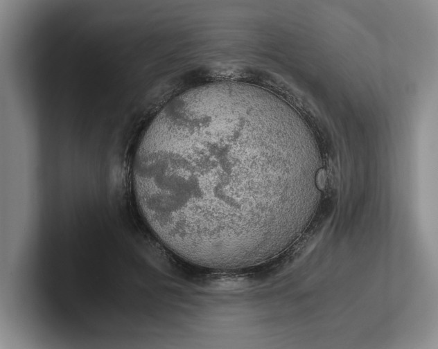 X0000102520601200808151535