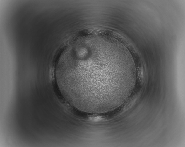 X0000102520602200808151535