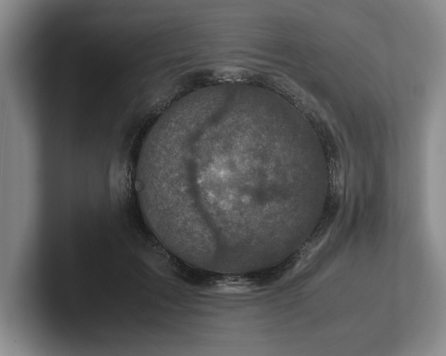 X0000102520603200808151535