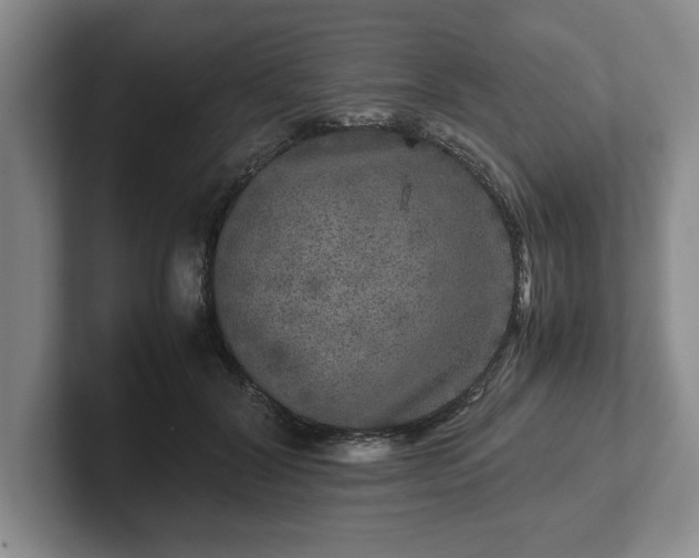 X0000102520604200808151535