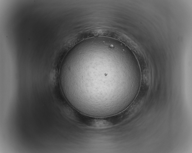 X0000102520605200808151535